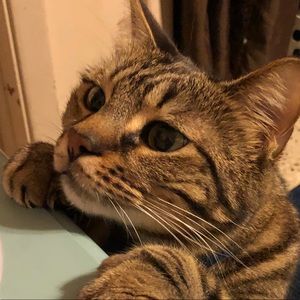 Meet your Posher, Sandy